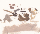 Dust bathing sparrow painting by Esther Tyson