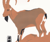 Ibex screenprint by Esther Tyson