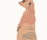 Meerkat screenprint by Esther Tyson