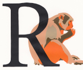 Rhesus Monkey screenprint by Esther Tyson